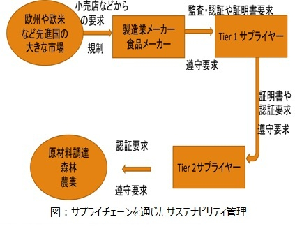 【AICE連載セミナー】第2回 バイオ・バイオマス燃料とサステナビリティ基準(南山大学 道田 悦代)